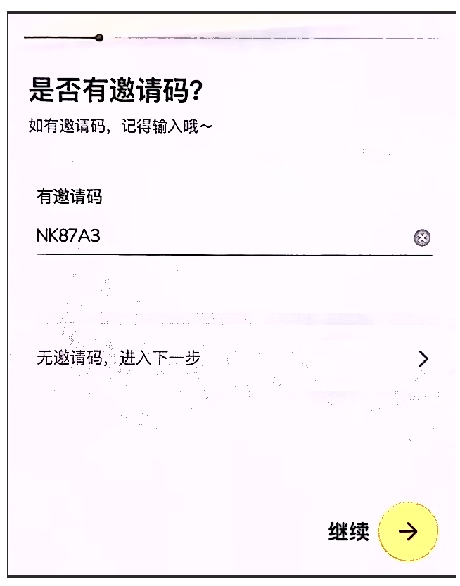 填写邀请码（关键步骤）配图